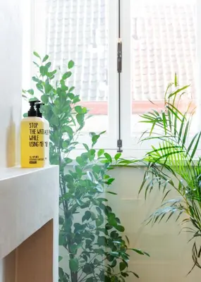 a bottle of sunscreen sitting next to a plant at Violet Suites in Ghent