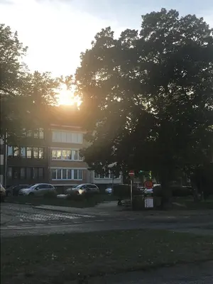 a tree in front of a building with the sunset at Studio Brussels Expo in Brussels