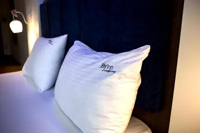 two pillows sitting on top of a bed at Fly inn Hotel Lounge & Nezzo Restaurant in Machelen