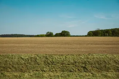 a large field of grass with trees in the background at Chez Spoons B&B in Bossut-Gottechain