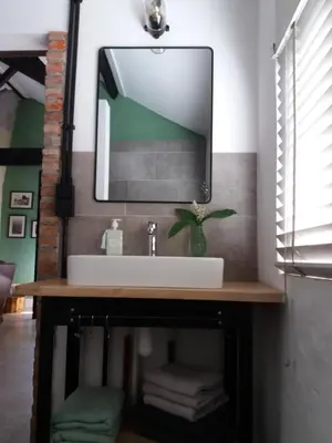 a bathroom with a sink and a mirror at B&B LoFt 21 in Ravels