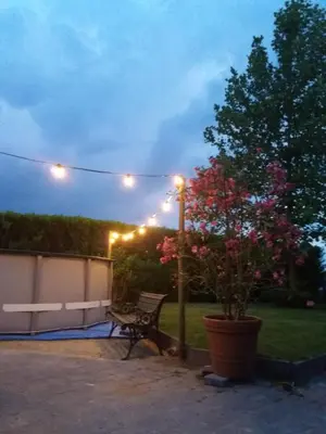 a bench and a tree in a yard at night at B&B LoFt 21 in Ravels