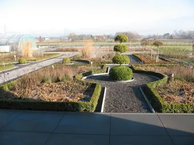 a garden with hedges and trees in a field at B&B La Vie En Roses in Moorsel