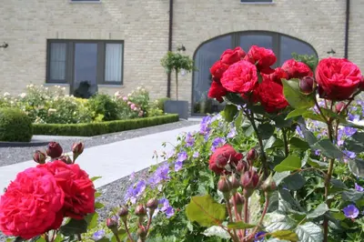 a bouquet of red roses in front of a building at B&B La Vie En Roses in Moorsel
