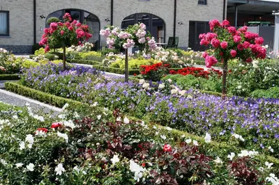 a garden of flowers in front of a building at B&B La Vie En Roses in Moorsel