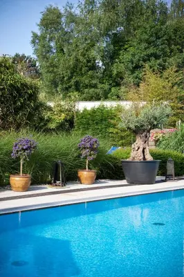 a swimming pool with two potted plants and two potted trees at Hotel Thermen Mineraal in Rijmenam