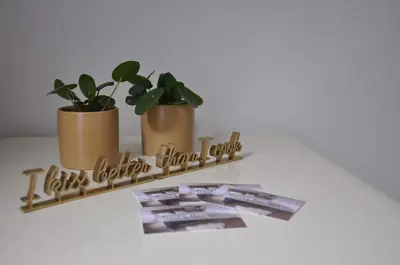 a shelf with two potted plants and a magazine at Bed en Bezem in Laarne