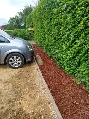 a car is parked next to a hedge at Pluimpapaver Hotel & Glamping in Aarschot
