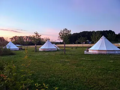 a group of three tents in a field at Pluimpapaver Hotel & Glamping in Aarschot