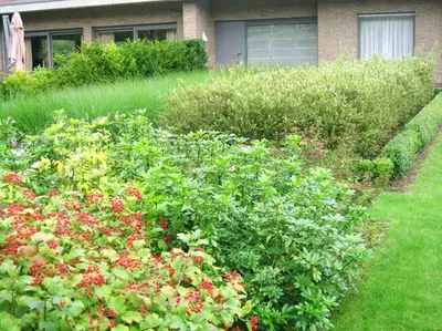 a garden with red flowers in front of a house at B & B DE SERAFIJN in Lochristi