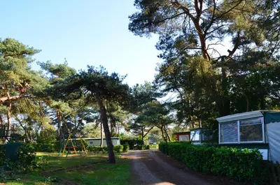 a road leading to a campsite with trees at Safaritent at Camping GT Keiheuvel in Balen
