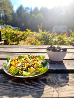 a salad on a plate on a wooden table at Camping Siësta in Lille