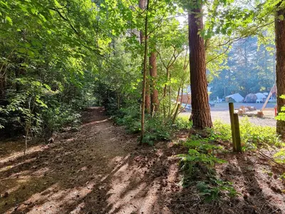 a dirt trail in the woods with trees at Camping Siësta in Lille