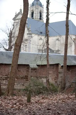 a church with a building with a steeple and trees at B&B Carpe Diem in Westerlo