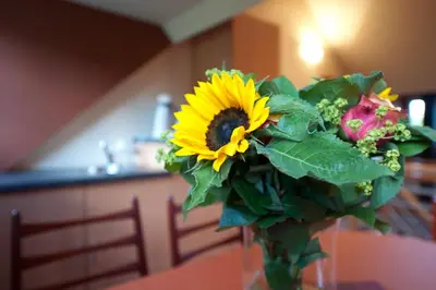 a vase with a yellow sunflower on a table at B&B Carpe Diem in Westerlo