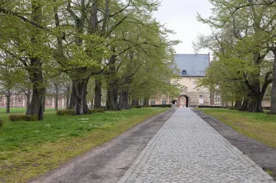 a cobblestone road in front of a building with trees at Beeltjens B&B: Wolf&Belle in Westerlo