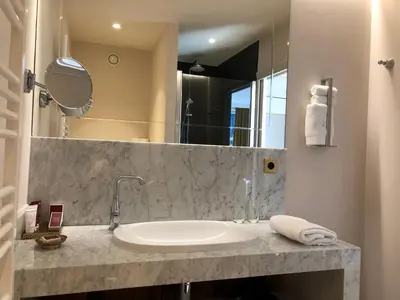 a bathroom with a sink and a large mirror at Merveilleux in Ghent