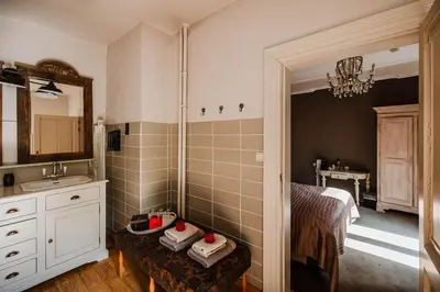 a bathroom with a shower and a sink and a mirror at Boutique hotel Roosendaelhof in Geel