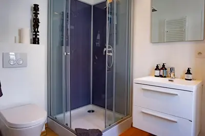 a bathroom with a shower with a toilet and a sink at Quartier Leonard in Ghent