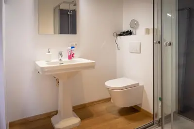 a bathroom with a sink and a toilet and a shower at Quartier Leonard in Ghent