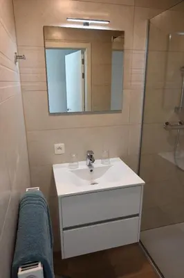 a bathroom with a sink and a shower with a mirror at B&B Dujardin in Dilbeek