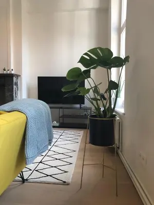 a potted plant in a room with a television at Bed & Boon in Ghent