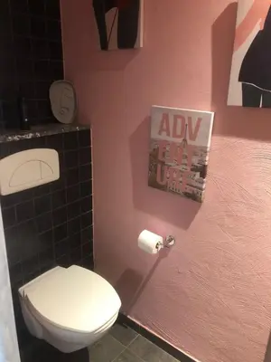 a bathroom with a toilet and a pink wall at Land Scape guesthouse in Eeklo