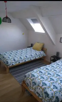 a bedroom with two beds in a attic at Land Scape guesthouse in Eeklo