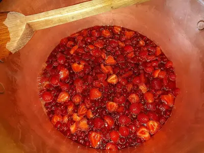 a pot full of berries with a wooden spoon at COSY B&B 2B in Overijse