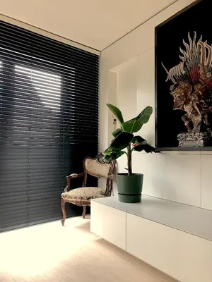 a living room with a plant sitting on a cabinet at Desk Till Dawn in Ghent