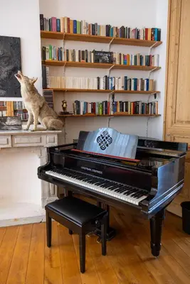 a cat sitting on a shelf next to a piano at Heaven in Antwerp in Antwerp