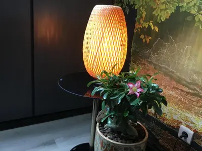 a lamp sitting next to a table with a plant at Gesloten in Geraardsbergen