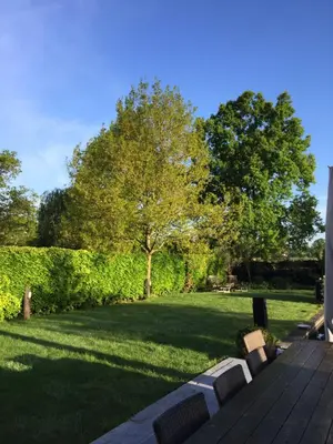 a patio with chairs and a lawn with trees at Bed and Breakfast Bobilou in Kalmthout
