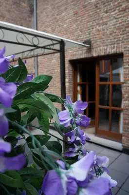 a bunch of purple flowers in front of a building at Charming Suites Jan Zonder Vrees in Antwerp