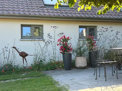 a bird standing in a garden next to a house at Le Buis in Genval