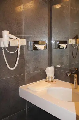 a bathroom with a sink and a shower at Hotel La Roseraie in Wemmel