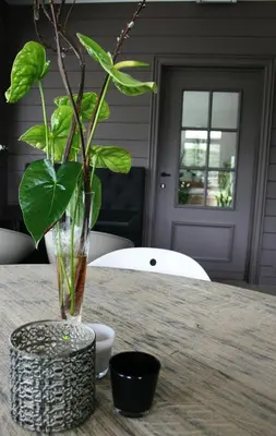 a vase sitting on a table with a plant in it at Quarante Cinq in Evergem