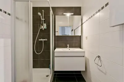 a white bathroom with a sink and a shower at Quartier des Quais Dansaert in Brussels