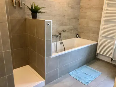 a bathroom with a tub with a plant in it at Charta Appartement in Kortenberg