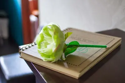 a green flower sitting on top of a book at B&B B³ Boat in Ghent