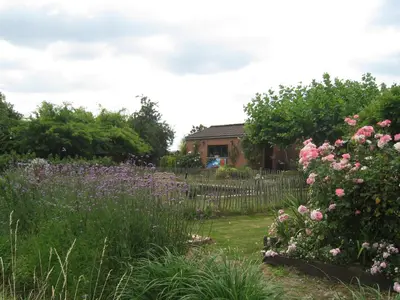 a garden with pink flowers and a fence at Vakantiehuis in de velden met zwemvijver en Jeu de Boules baan in Lier