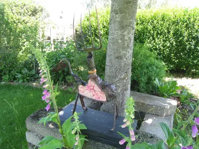 a statue of a woman hanging from a tree at Vakantiehuis in de velden met zwemvijver en Jeu de Boules baan in Lier