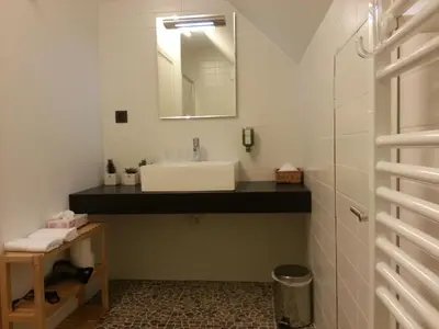 a bathroom with a sink and a mirror at Huis van Vletingen Apartment in Ghent