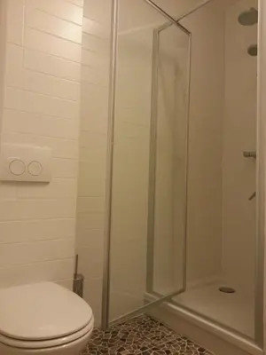 a bathroom with a toilet and a shower at Huis van Vletingen Apartment in Ghent