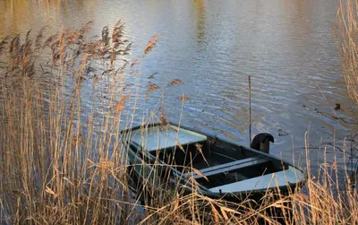 a boat sitting in the water next to some grass at Vakantiewoning Lescaut in Hamme