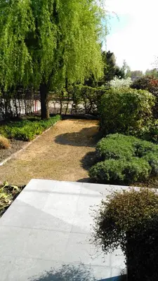 a garden with trees and bushes and a sidewalk at B&B Hier en Nu in Heusden