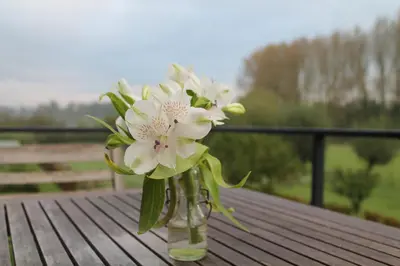 a vase filled with white flowers sitting on a table at B&B Hier en Nu in Heusden