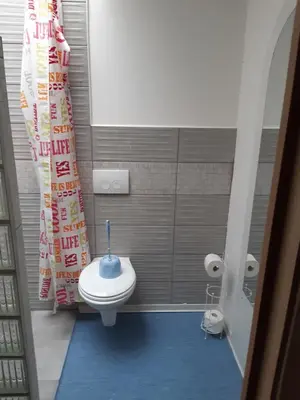 a small bathroom with a toilet and a blue rug at casa di Claudia in Antwerp