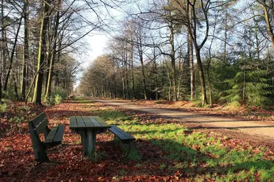 a park bench sitting on the side of a road at The Mill 2380 in Ravels