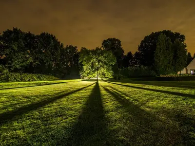 a tree in the middle of a field at Domein Martinus in Halle
